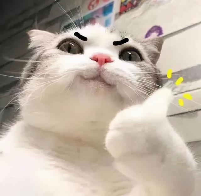 用沐浴露洗头会怎样，可以用沐浴露洗头吗（沐浴露居然可以用来洗头）