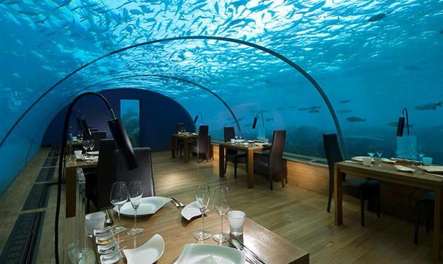 马尔代夫选岛攻略，史上最全马尔代夫选岛攻略（马尔代夫最值得去的岛屿）