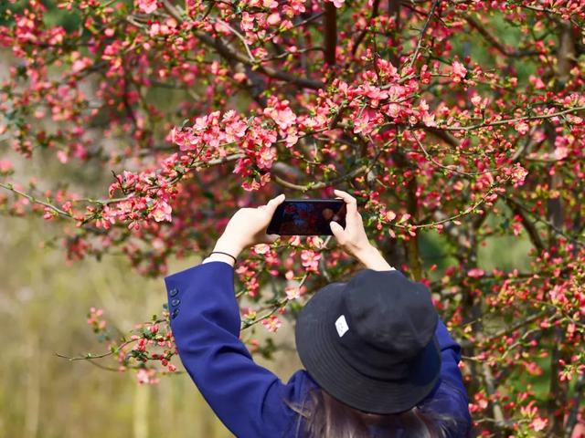 花城是指我国哪一城市，花城指的是哪个地方（中国最美“花城”）