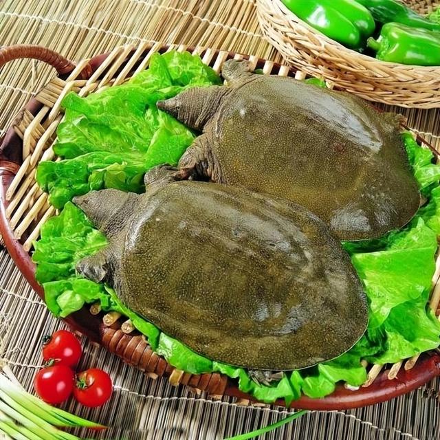 潢川特色餐馆推荐，潢川美食有哪些（这几种信阳土特产闻名全国）