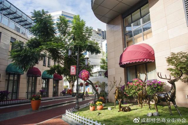 唐人街在哪，唐人街在哪个州（带你了解成都人的“唐人街”）