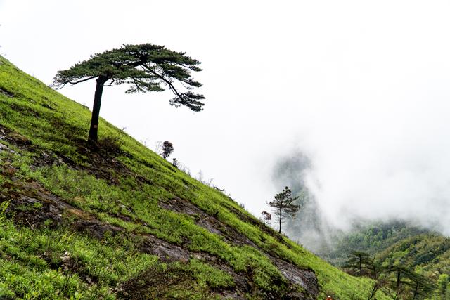 江西武功山几月份去最好，武功山适合几月份去（武功山又到了一年一度最美的季节）