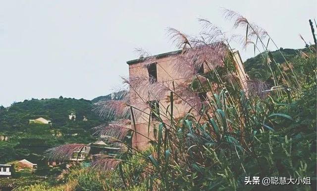 广西涠洲岛几月份去旅游最好，北海涠洲岛几月份去旅游最好（秋冬必去的绝美海岛）