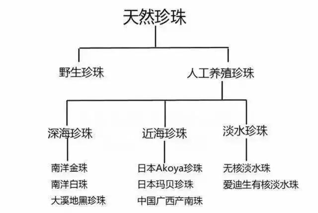 爱迪生珍珠多久失去光泽，爱迪生珍珠多久失去光泽的（今天咱就聊聊好珍珠有哪些）