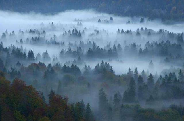 世界八大恐怖禁区，世界八大禁地是哪（揭秘那些人类无法踏进的领域）