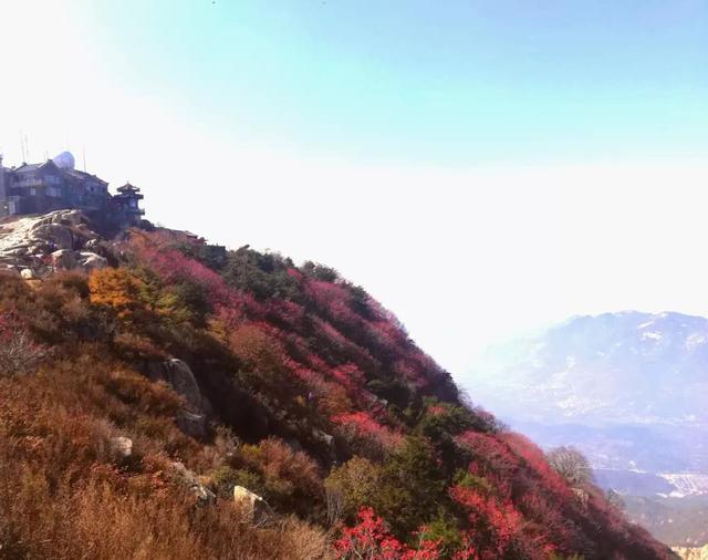 泰山好玩吗，泰山旅游攻略（此生不老，必去泰山）