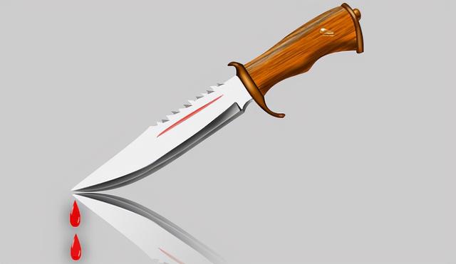 李晓晓是哪部电视剧里的人物，李晓晓是哪部电视剧里的人物名字（残疾运动员李晓晓）