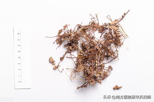 过路黄的功效与作用，过路黄的功效与作用！（用于排石汤；清热利湿能退黄）