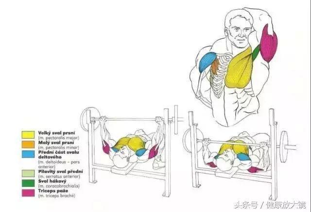 健身器械动作的指导方法，健身器械动作教学（健身房器械动作指南助力做一个“器械健身高手”）