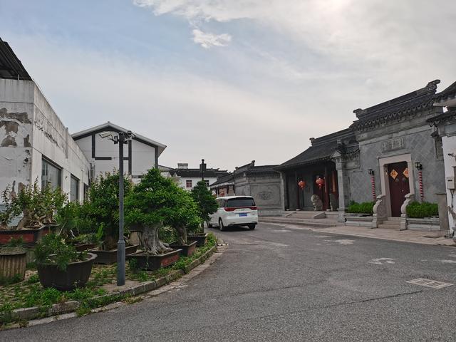 碧螺春产于哪里，碧螺春主要产于哪里（碧螺春又称\