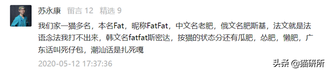 新浪微博名字大全，好听的新浪微博名字大全（让所有人都笑死在这些沙雕名字里）