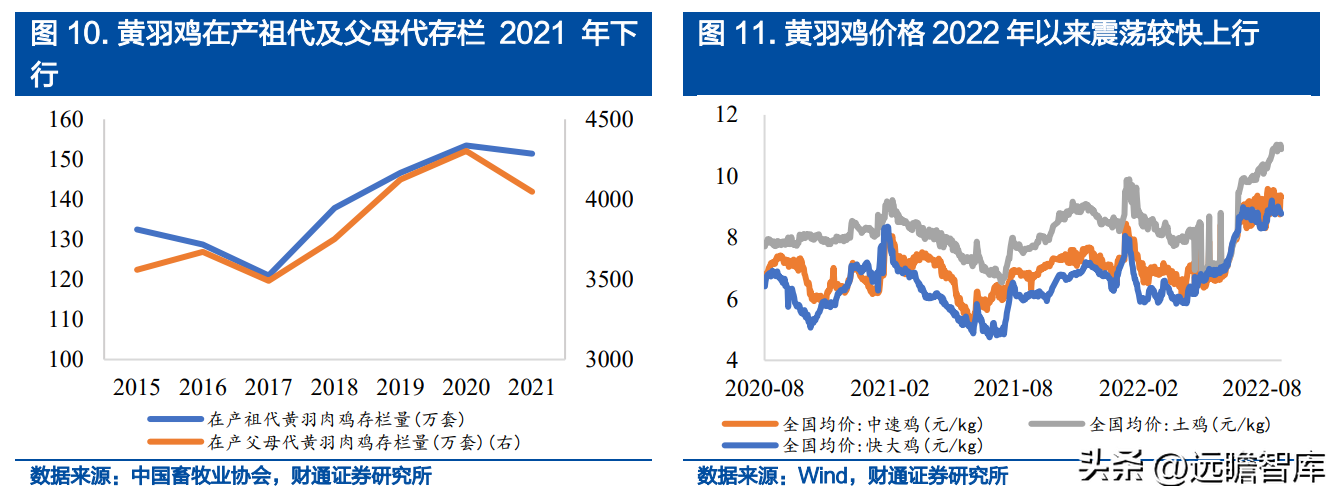 温氏集团（走出困境）