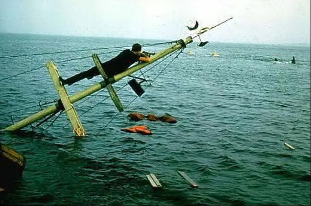 关于蛇的电影有哪几部，关于蛇的电影有哪几部分（评分最高十大怪兽电影）