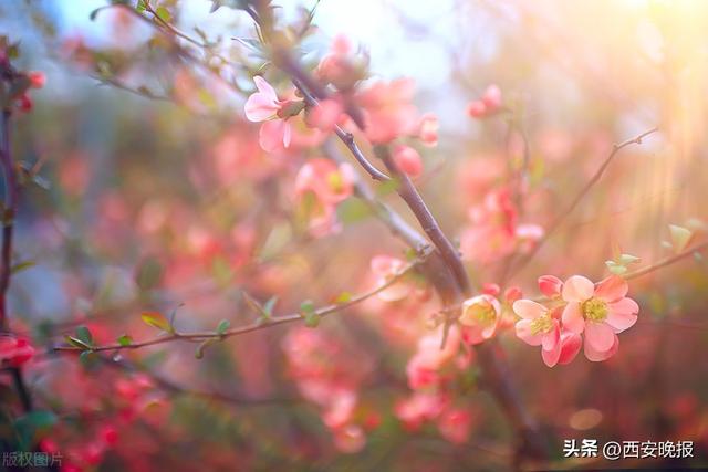 冷门的独特昵称，冷门的独特昵称两个字（40个小众且别致的网名）