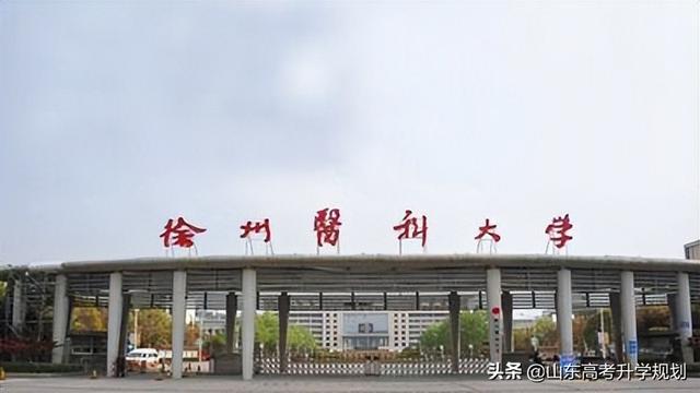 麻醉师证怎么考，麻醉师怎么考证（山东省2021年分专业类别录取投档表）