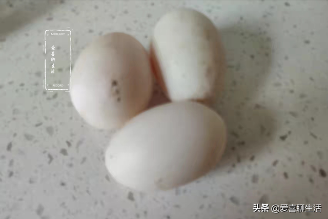 炒鸭蛋怎么做好吃，炒鸭蛋怎么做好吃窍门（春季少吃鸡蛋多吃鸭蛋）