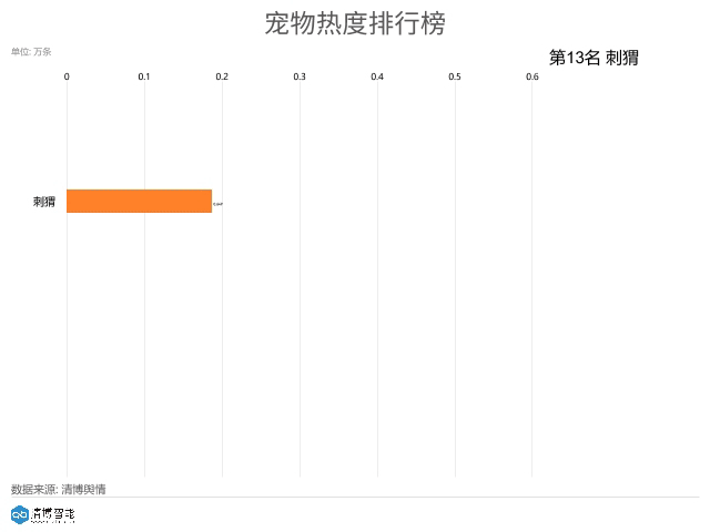 适合学生养的狗，学生党适合养什么狗（你的宝贝上榜了吗）