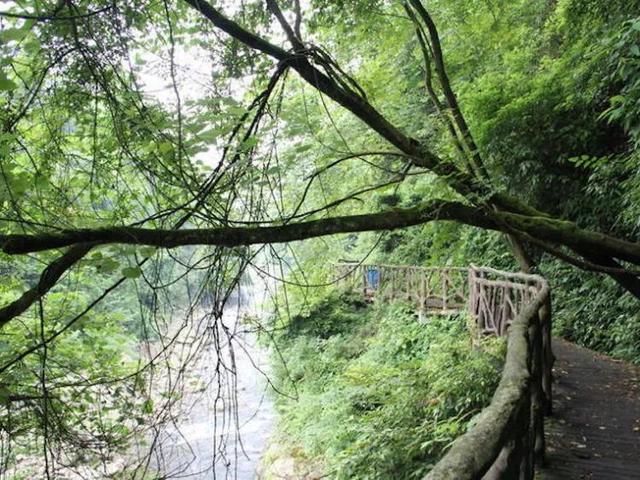 绵竹旅游景点哪里好玩(绵竹旅游景点哪里好玩儿)