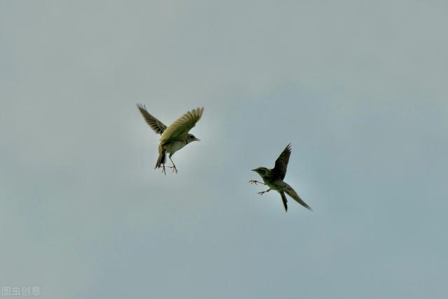 天籁是什么意思，人籁、地籁与天籁