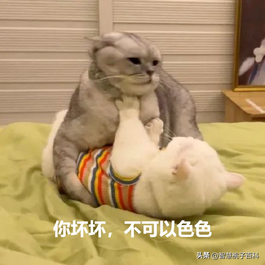 男生亲着亲着就会起反应吗？接吻时,男生会有哪些生理反应呢？