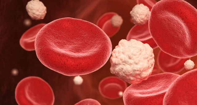 橄榄油的作用与功效，芦荟胶加橄榄油的作用与功效（专家新研究：每天半勺）