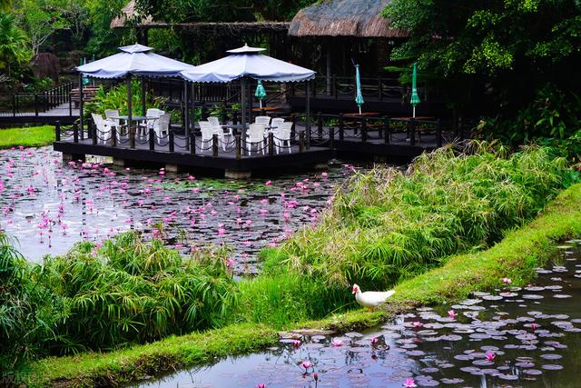 天涯海角景区介绍，天涯海角景区介绍图片（海南最不值得去的5个景点）