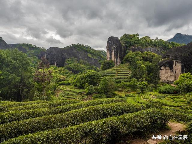 适合发朋友圈秋天茶园句子，像一部承载着人与自然交织情感的史诗