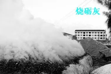 温州的海鲜，温州的海鲜都有啥（温州海鲜特产海蛤三千多年前就是贡品）