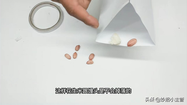 老鼠最喜欢吃什么，老鼠最喜欢吃什么食物（家里有老鼠别着急）