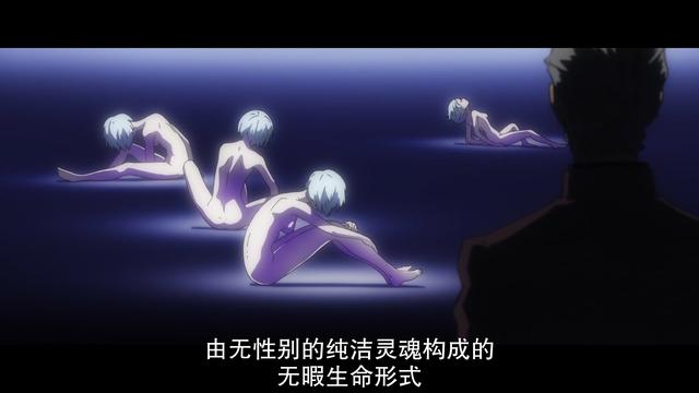 eva剧场版的观看顺序，《eva》的观看顺序是怎样的（《新·福音战士剧场版）