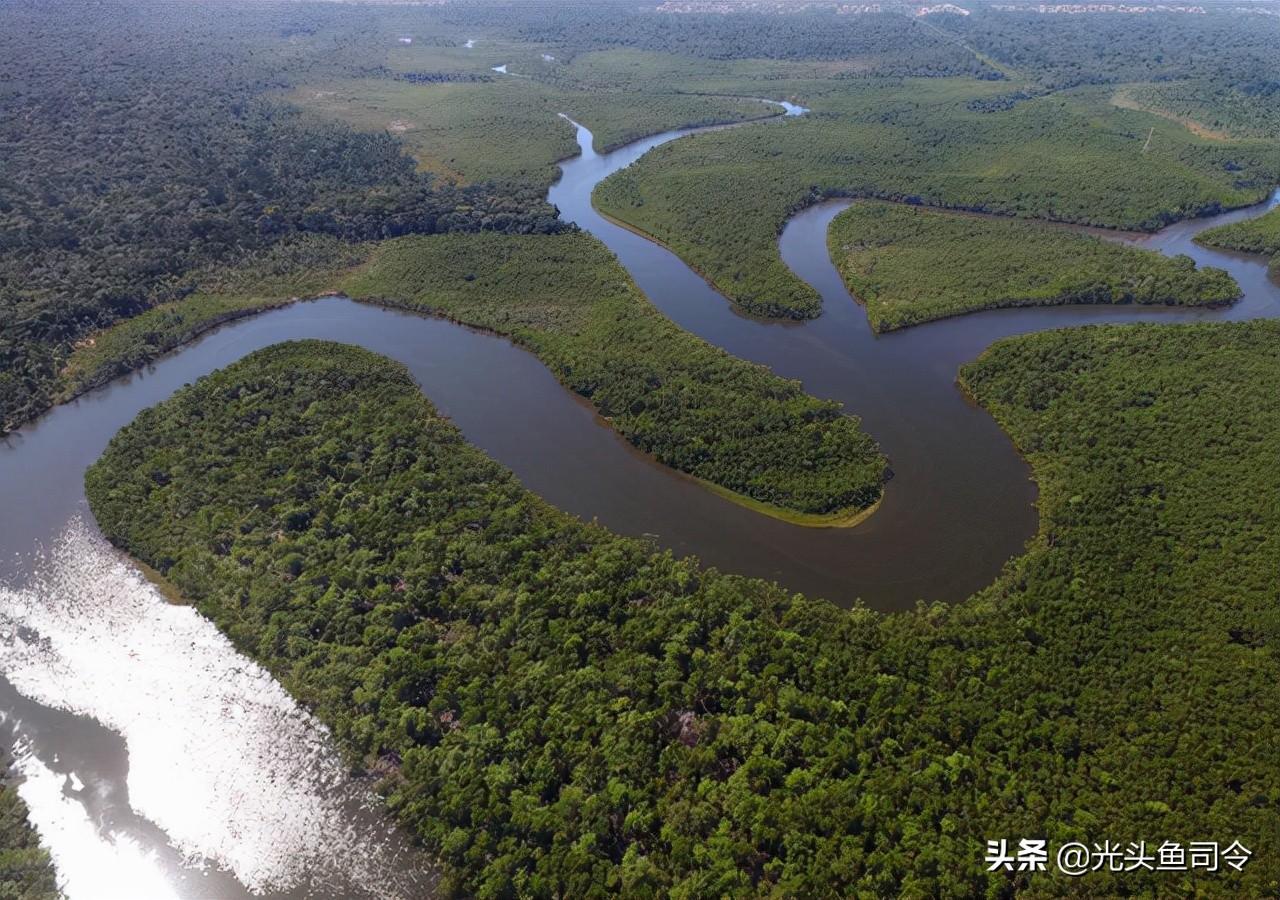 亚马逊河号称“人类禁区”，有多可怕？