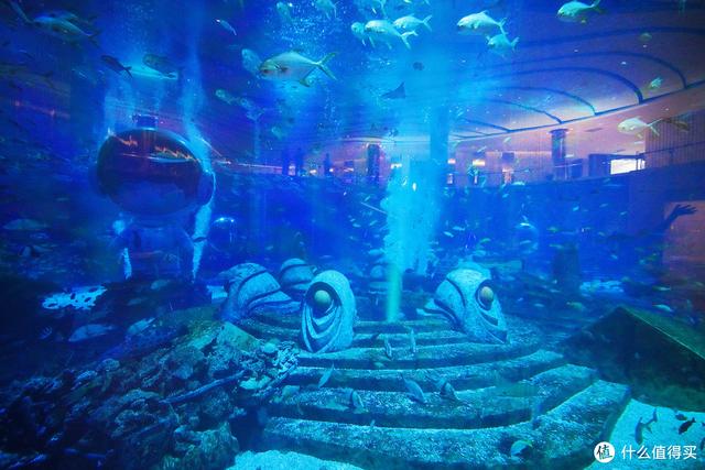 亚特兰蒂斯在哪里，亚特兰蒂斯在哪（“人傻钱多”的三亚亚特兰蒂斯）