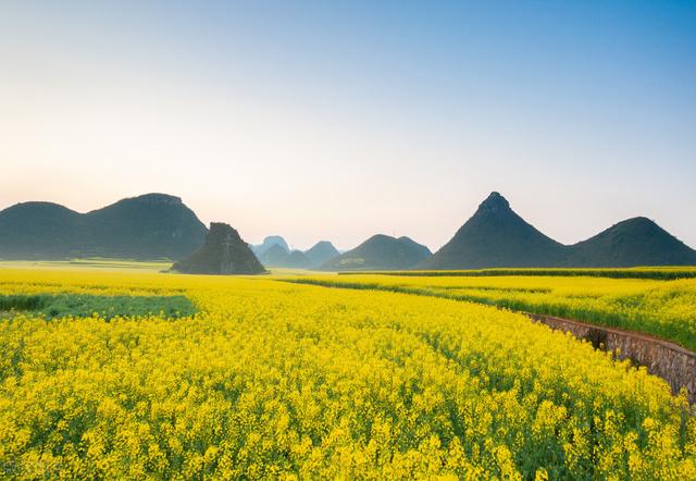 罗平旅游景点大全，曲靖罗平旅游景点大全（中国最美四季游之春季：罗平）