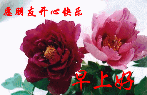 最真诚的祝福语，朋友最真诚的祝福语（十全十美的温馨祝福语送给朋友们）