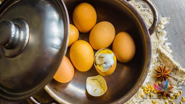 活珠子是什么东西，活珠子是什么东西图片（火爆网络的“活珠子”究竟是啥）