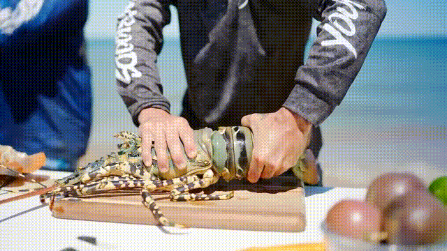 小龙虾属于海鲜类吗，小龙虾是海鲜吗（龙虾：从小龙虾到大花龙）