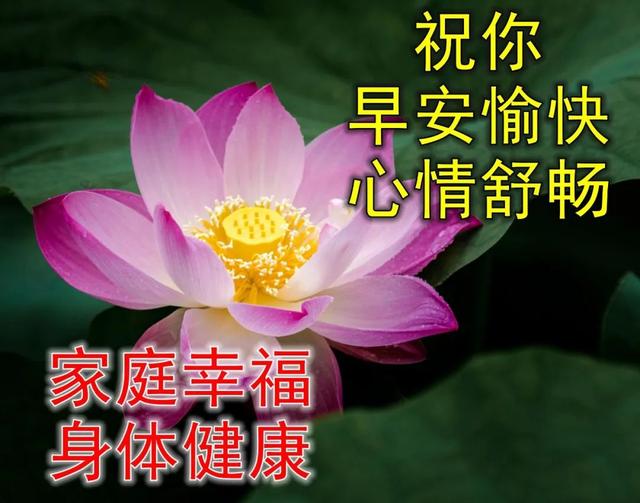 朋友圈动态背景，微信朋友圈动态背景怎么设置（夏日早上好动态祝福图片）