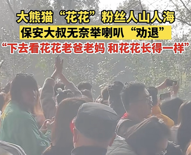 ​游客认错花花，就是那个三角形饭团~