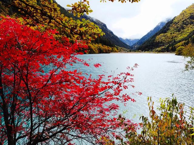 四川九寨沟简介，四川九寨沟介绍（四川九寨沟）