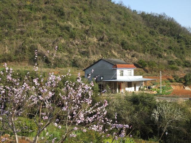 建房证办理流程及费用，自建房不动产证怎么办理（您一定要明白的建房知识）