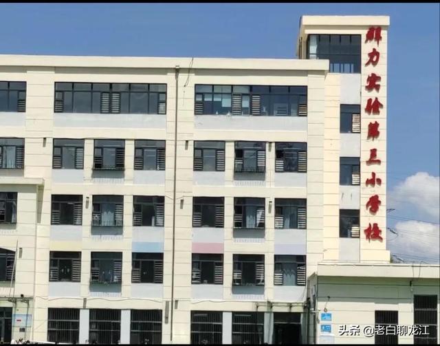 哈尔滨群力湿地公园，群力新区十一大公园