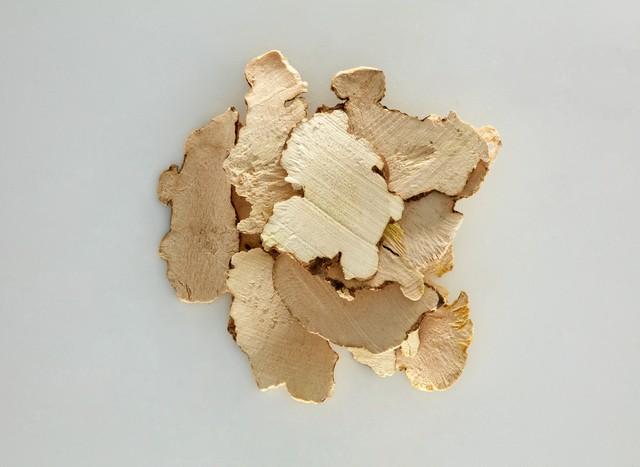 69"硬饭团"即萆薢