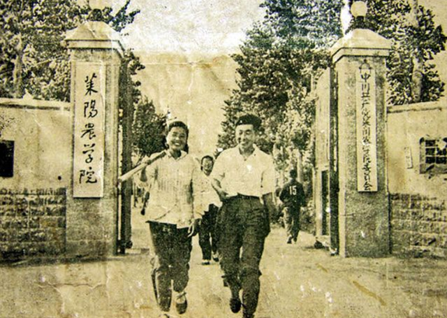 青岛农业大学排名，青岛农业大学排名2022最新排名（搬到青岛后名气反而下降）