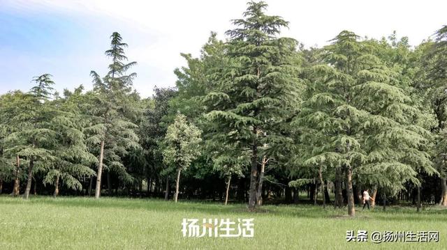 扬州历史文化景点，扬州最容易被忽视的古城遗址