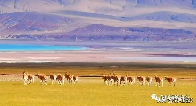 国内最值得旅游的地方，国内最值得旅游的地方是哪里（国内10处风景绝美的地方）