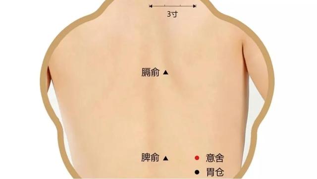 消渴穴在什么位置，消渴的准确位置（《针灸甲乙经》关于消渴病的记载）