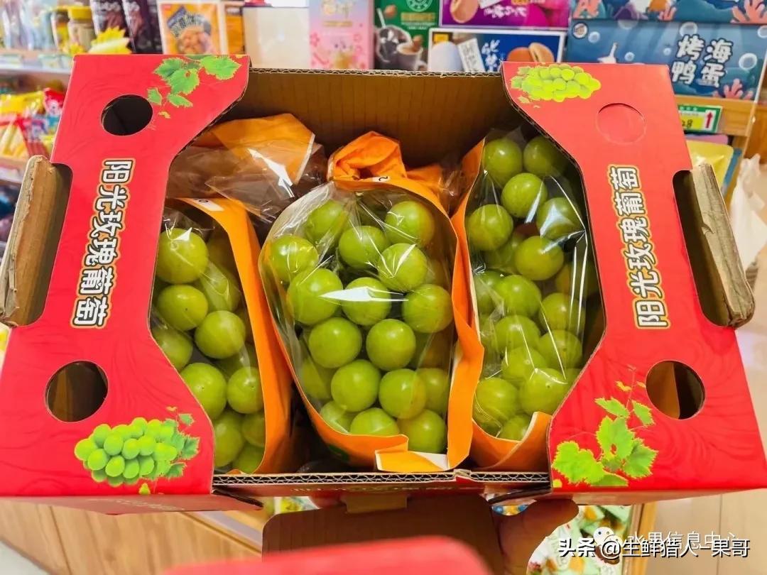 浆果是什么，浆果是什么软件（不同水果的不同包装<浆果篇>）