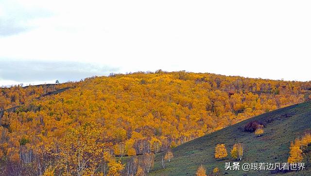 阿尔山的风景，《走进内蒙》景色迷人