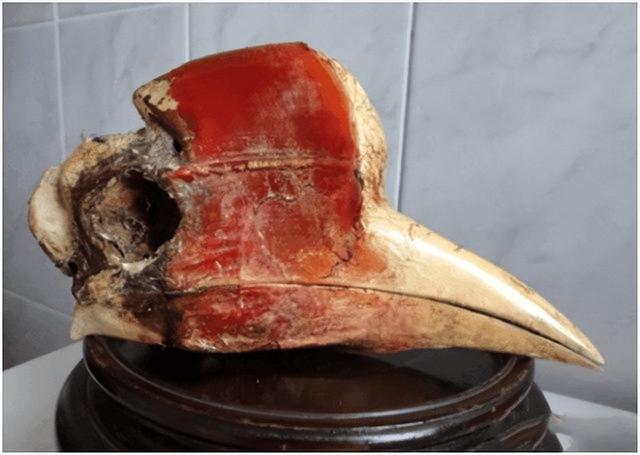 鹤顶红主要成分，鹤顶红主要成分鹤顶红服下的症状（鹤顶红被叫作毒药之王）