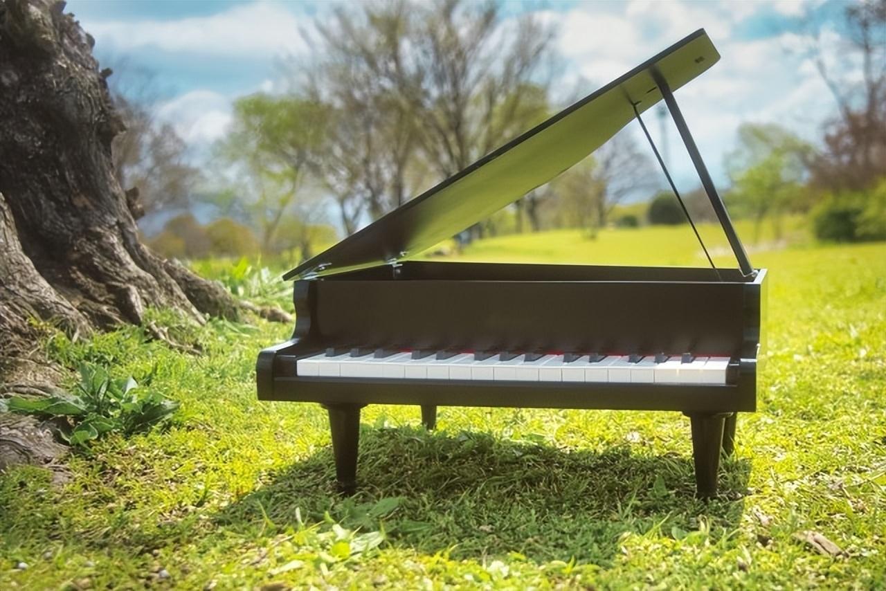 电钢琴和真钢琴有什么区别，电钢琴和钢琴的区别（电钢琴和原声钢琴价格差距一般有多大）